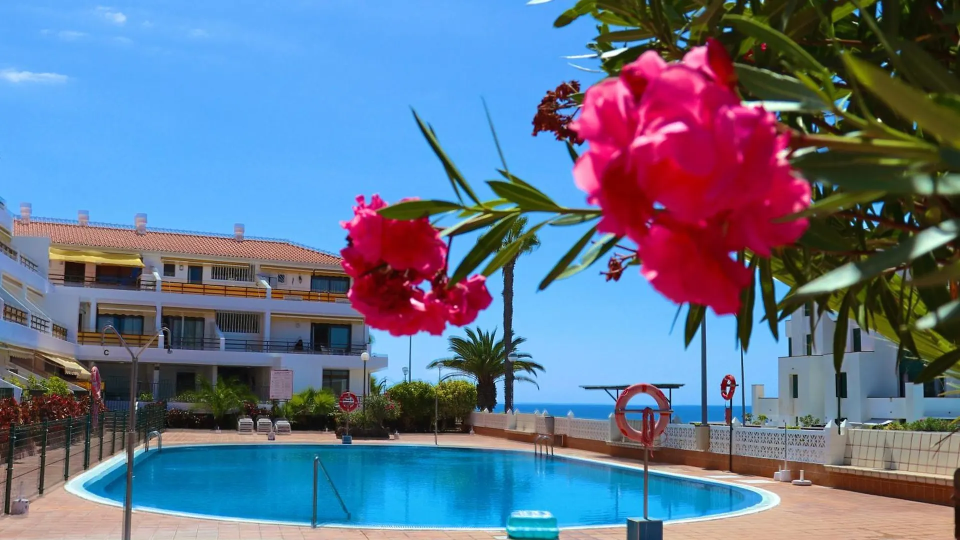 Sunflower Apartment Just Relax Puerto de Santiago  Puerto de Santiago (Tenerife)